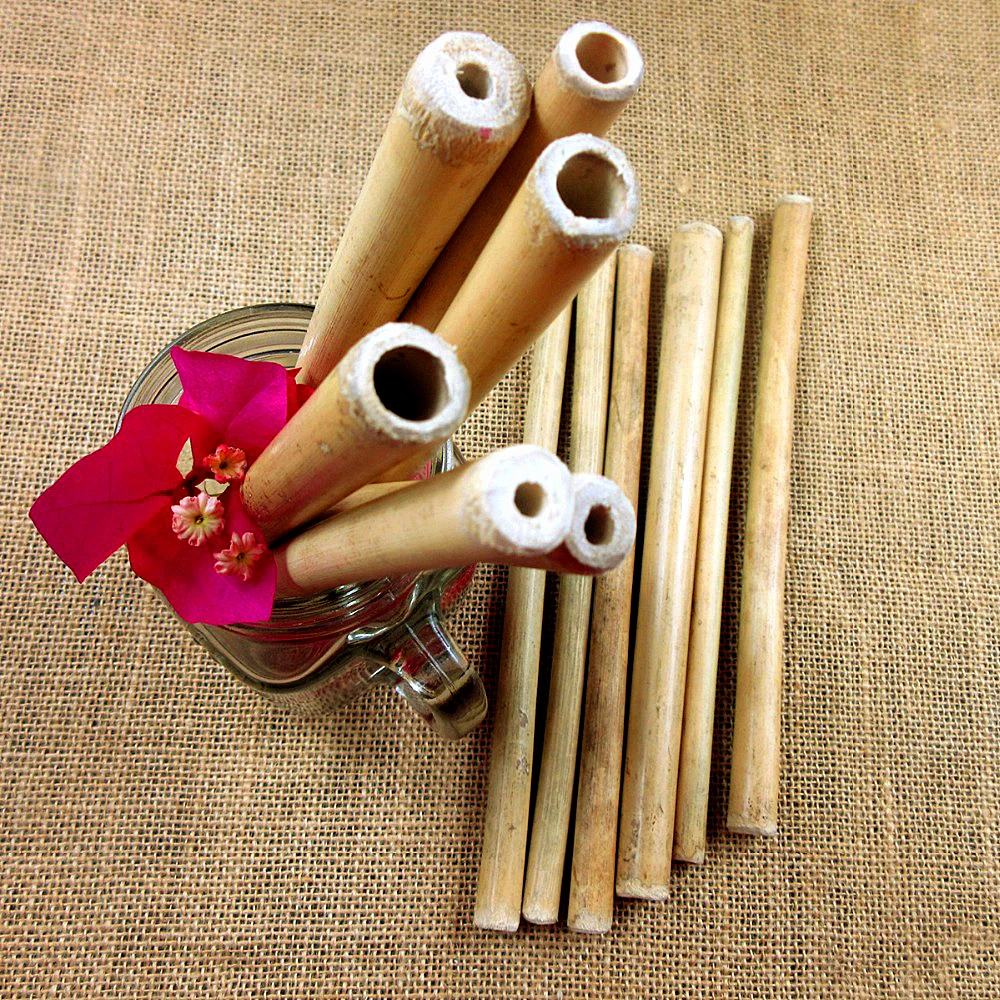 

New 10 Pcs Natural Organic Bamboo drinking straw For Party Birthday Wedding Biodegradable Wood Straws Tableware