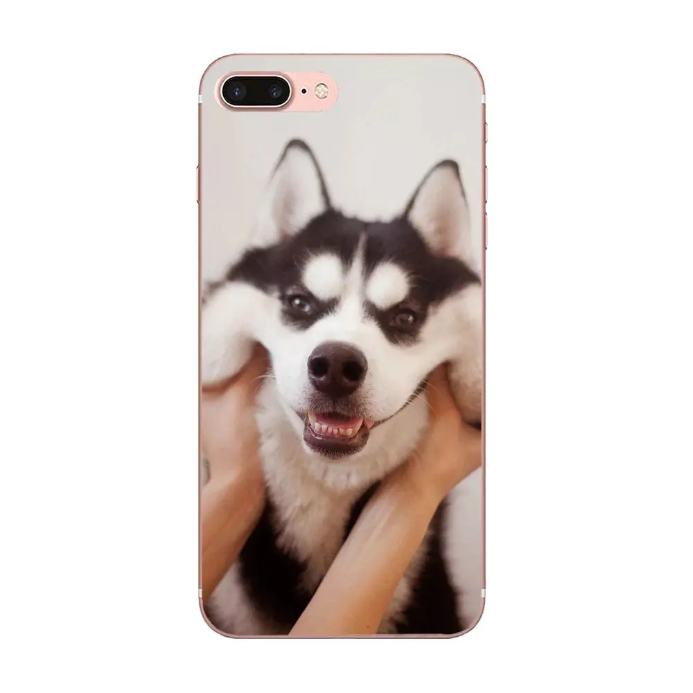 Щенок мопса принцесса Французский бульдог для Huawei Mate 7 8 9 10 20 P8 P9 P10 P20 P30 Lite Plus Pro 2017