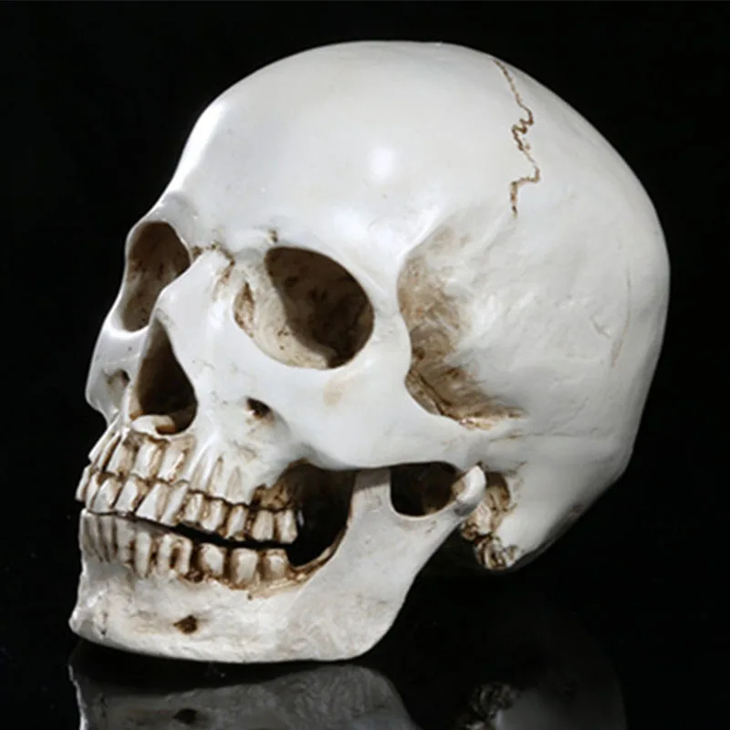 Полимерные статуи BUF для украшения голова черепа креативные фигурки