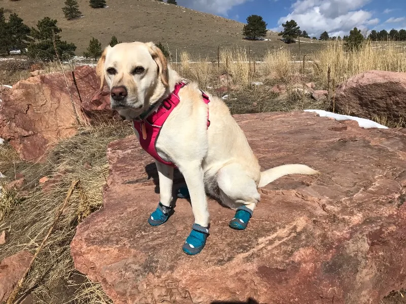 RUFFWEAR-Grip Trex, вездеходная лапа Одежда для собак