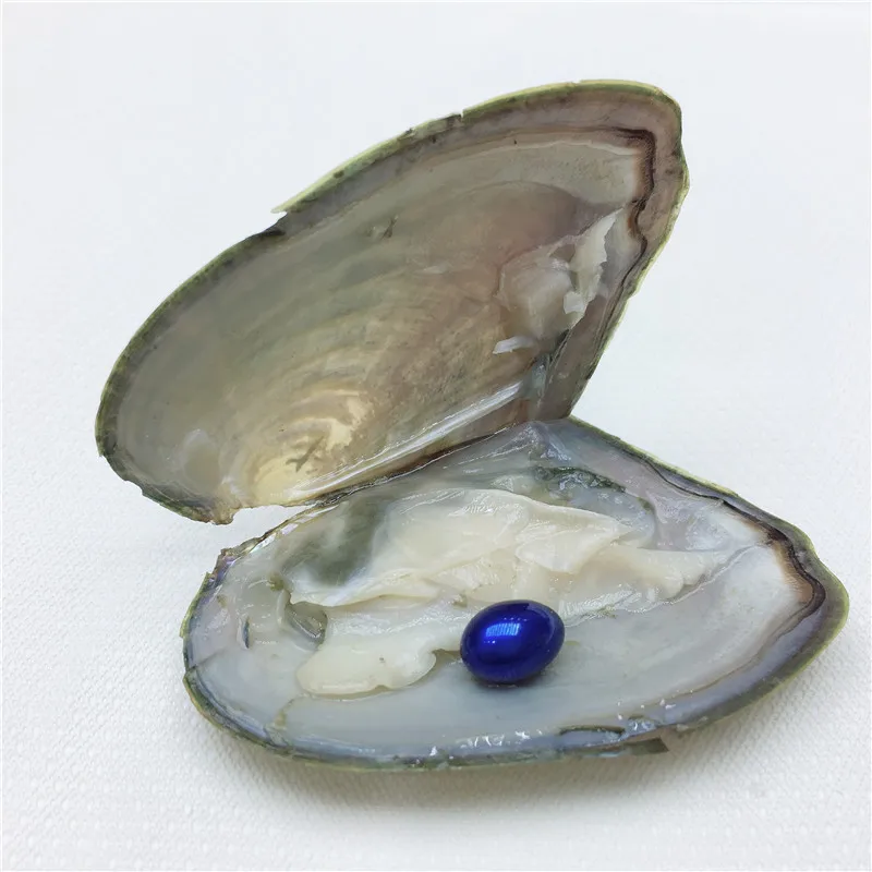Одна бусина одна Клима Oyster пресноводный жемчуг 7 мм Жемчуг Овальный 12 цветов DIY