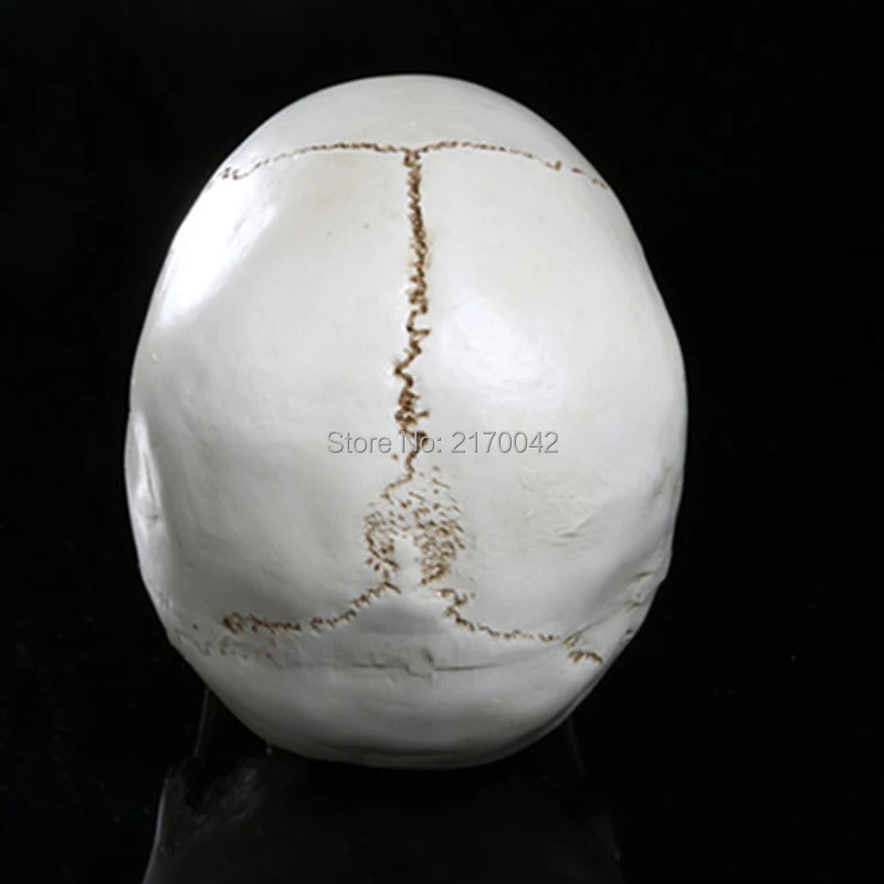 Мини маленькая Смола человеческого черепа Скелет кости Статуя Фигурка Человека