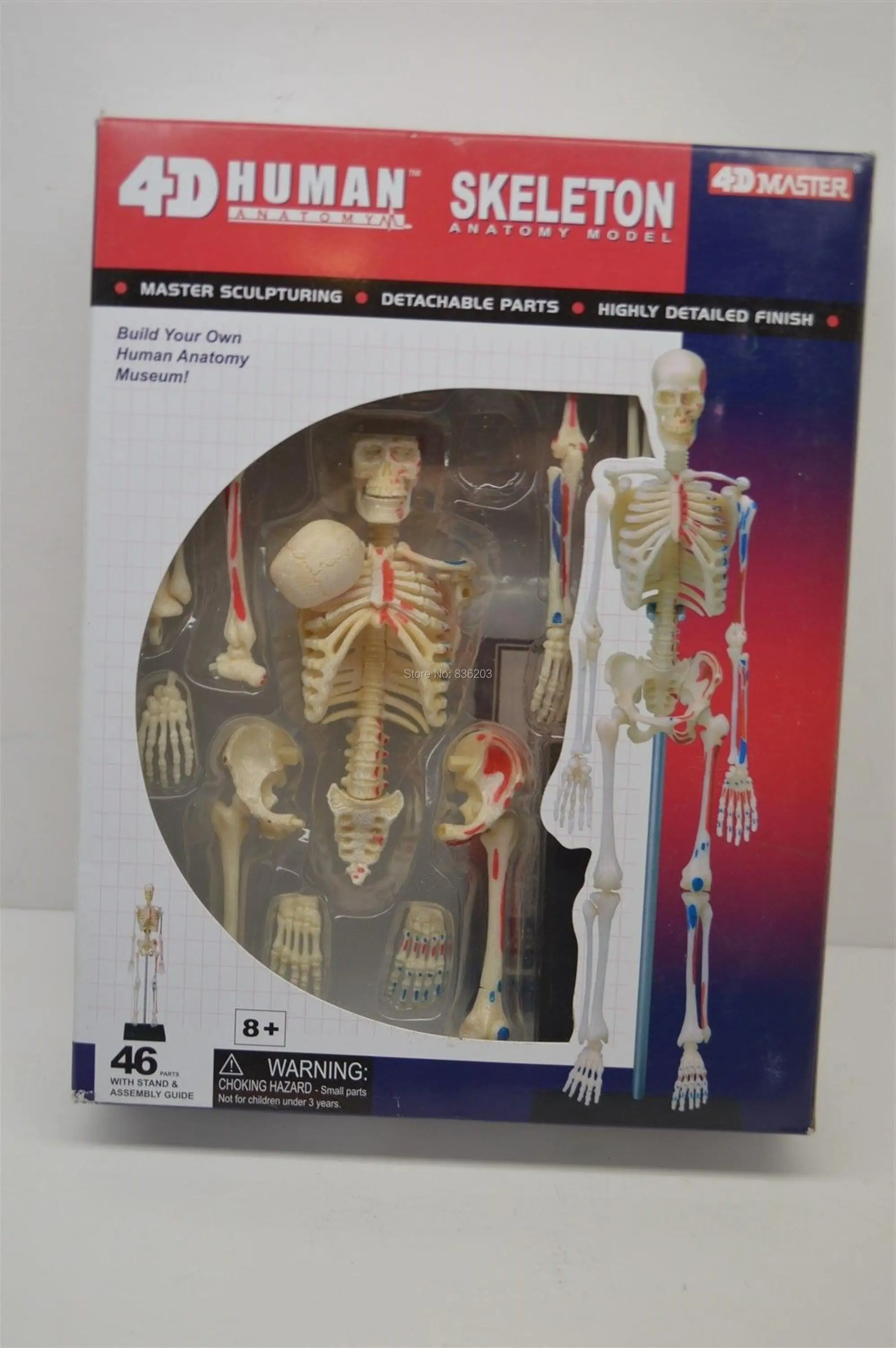 4d master 46 деталей модель анатомии кожи медицинский человеческий череп