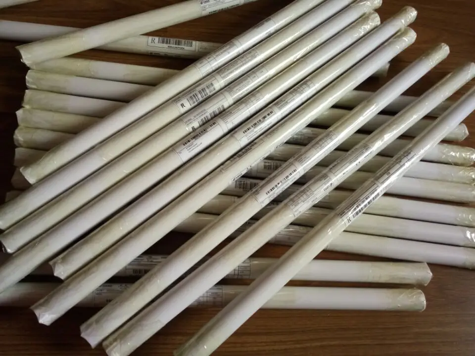 Анатомическая диаграмма человеческого тела Мышечная система кампуса знания