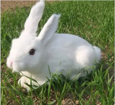 WYZHY Simulation fur animal crafts simulation rabbit study office decoration 34CM | Игрушки и хобби