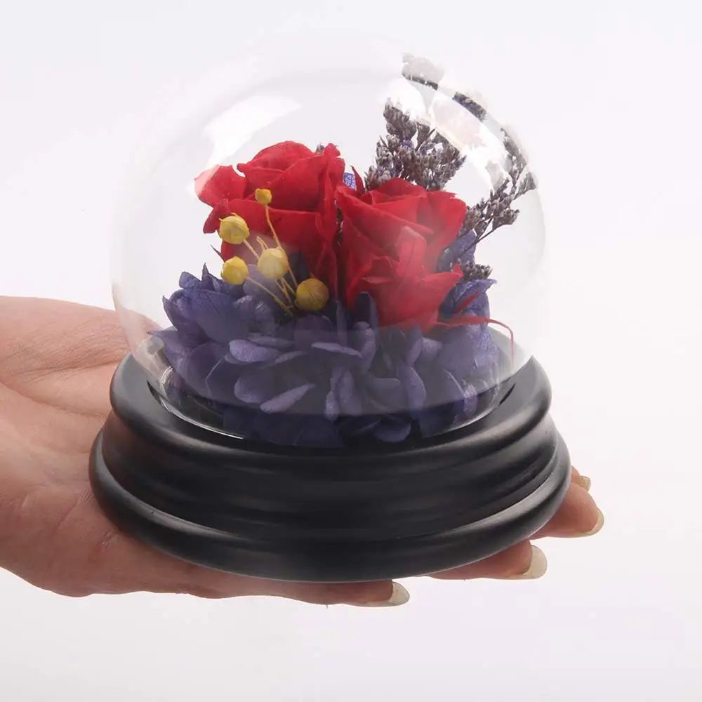 Зачарованная Роза Красавица и чудовище настоящая восстановленная в стеклянном