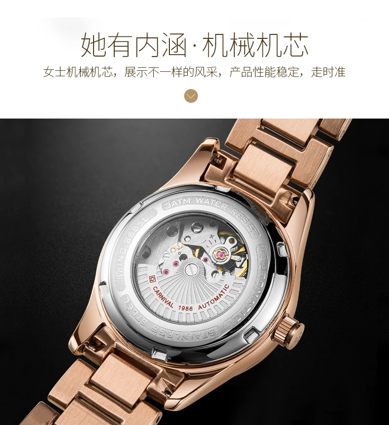 

Mechanical Women Watches Luxury Brand Watch Waterproof 2019 Diamond Ladies Wrist Watches For Women Automatic Self-Wind Clock