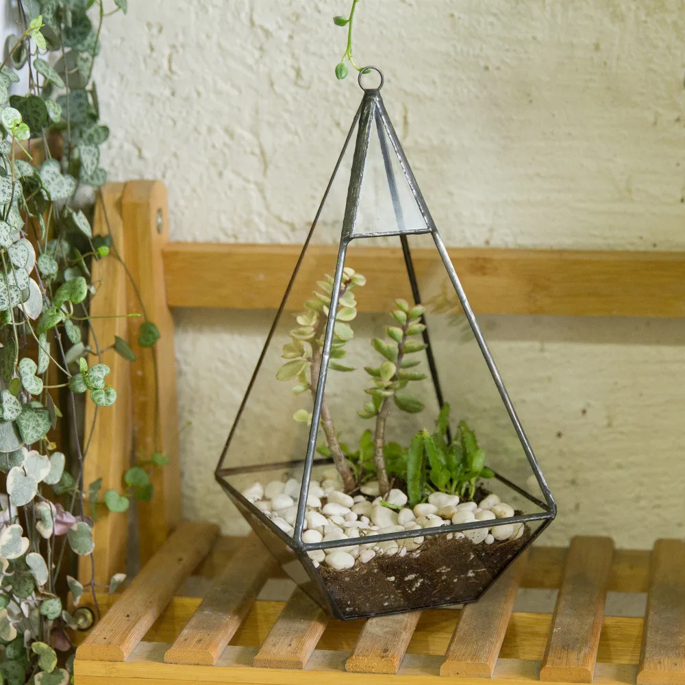 

Desktop Pyramid Geometric Glass Terrarium Box Succulent Moss Planter Hanging Plants Bonsai Flower Pots Flowerpot Vertical Garden
