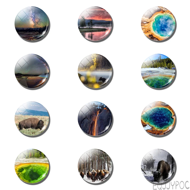 12 шт. магниты на холодильник 25 мм | Дом и сад