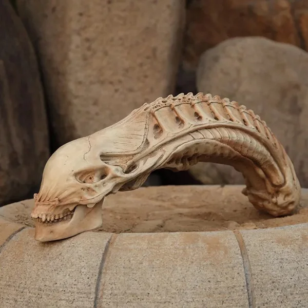 2016 Горячая огромная смоляная статуя Fossil AVP Хищник против чужеродного черепа