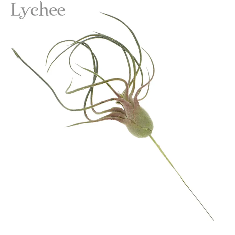 Lychee пластиковое искусственное воздушное растение Tillandsia Capitata декоративное