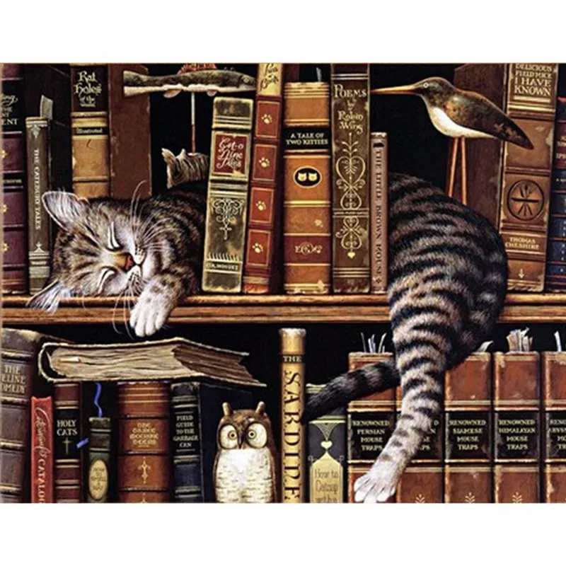 Cute book shelf sleepy kitty cat diamond painting embroidery beads cross stitch handwork picture rhinestones NEW1950 | Дом и сад