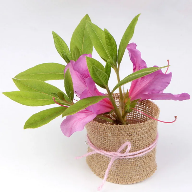 5 м Рождество свадебный подарок белье чистых тонов полоса Толстая пенька с