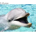 LI Лойе камни в форме ромба 5D DIY алмазная живопись С кристалалми и стразами, вышивка крестиком на рисунке, дельфин рукоделие подарок для украшения дома FZ283