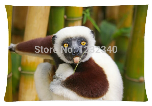 Прохладный наволочки Sifaka стиль чехол ( близнецы стороны ) 20 x 30 дюймов )|pillow top mattress