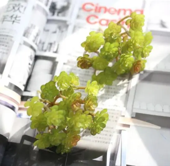 Искусственные зеленые суккуленты искусственное растение миниатюрный