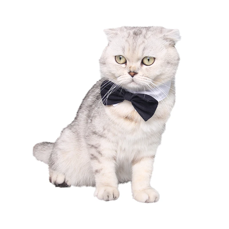 Домашнее животное кошка собака в виде симпатичного черного галстук бабочка B006|dog