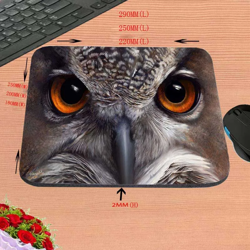 Лучшее качество коврик для мыши на заказ двух сов рисования картин красивый
