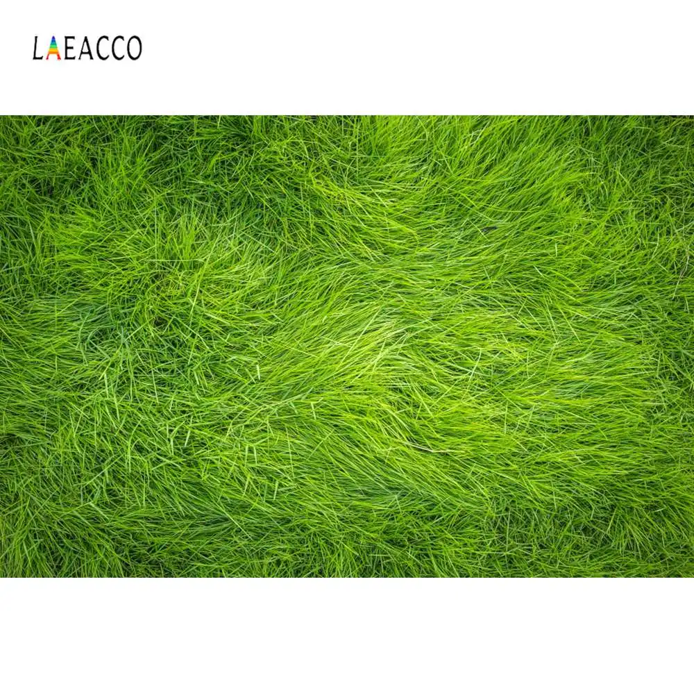 Laeacco зеленое весеннее злаковое сено стек для новорожденных фигурка животного портрет фотографии фоны для фотографий фон фотостудия