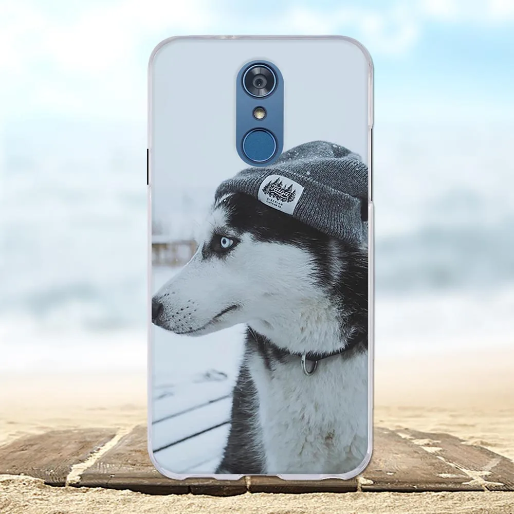For LG Q7 Case Ultra-slim Soft TPU Silicone 5.5 inch Plus Cover Cute Cat Patterned Alpha Q7a Funda Bumper | Мобильные телефоны и