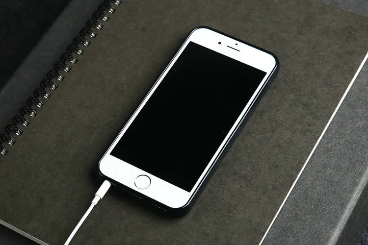 Роскошный узор из Кожи Ящерицы чехол для телефона для iphone 8X7 plus SE итальянский натуральная кожа чехол для задней панели сотового телефона пользовательское имя сервис