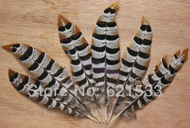 

50PCS/LOT 10-13cm Hand Selected REEVES VENERY PHEASANT WING FEATHERS,REEVES Wing Feathers,