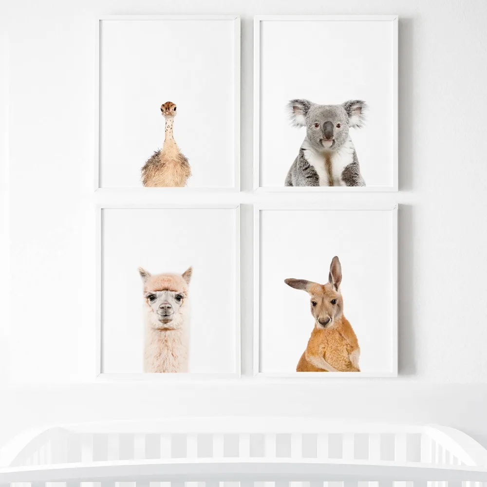 Alpaca Koala страусиный кенгуру детский художественный плакат с животными картина