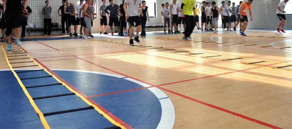 ALBREDA высокое качество 5 м 16,5 футов* 9 rungs длинные футбольные тренировки скорость ловкость лестница сумка для переноски открытый фитнес оборудование лестница