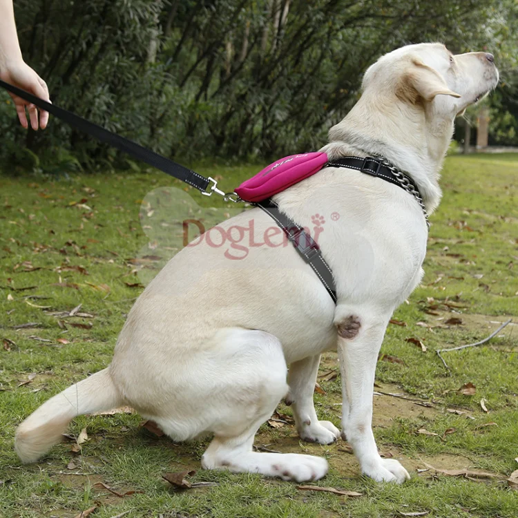 Светоотражающая нейлоновая шлейка для собак Doglemi больших в стиле H с карманом|harness