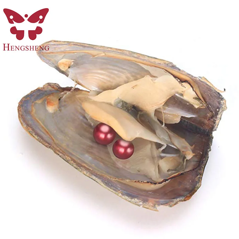 

HENGSHENG 20 PCS of Mix Color Single Twins Triplet Quads 6.5-7 mm Freshwater Nearly Round Pearl Oysters (Multicolor)