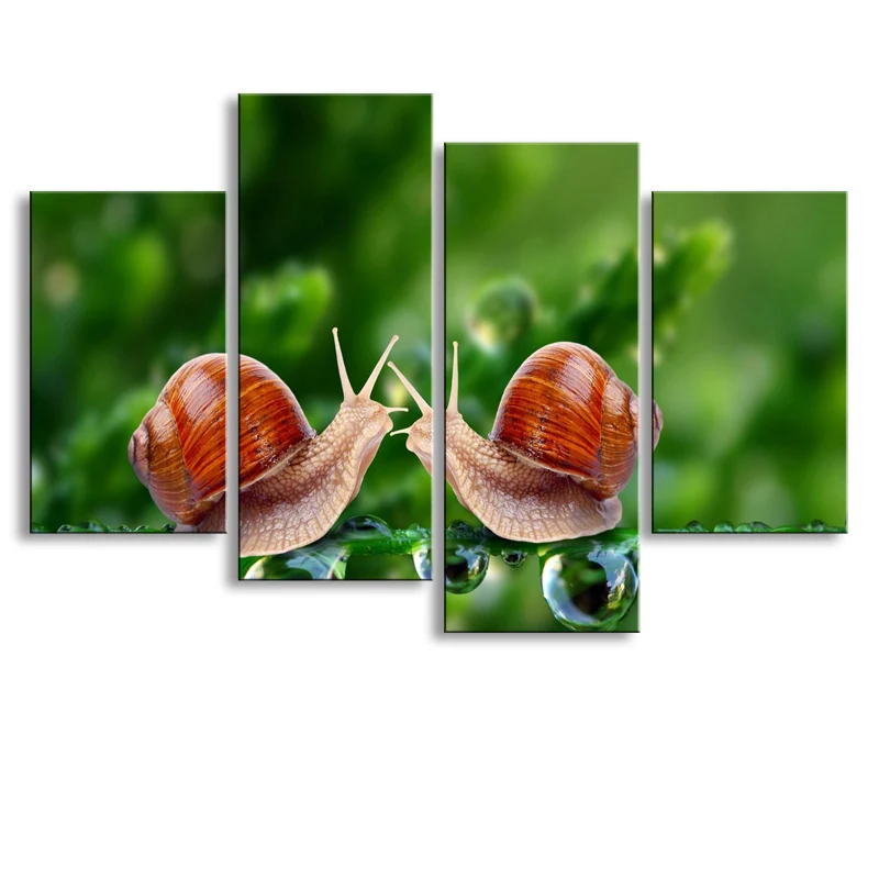 Картина маслом улитки HD printcanvas живопись Photo Print printswall фотографии для Гостиная
