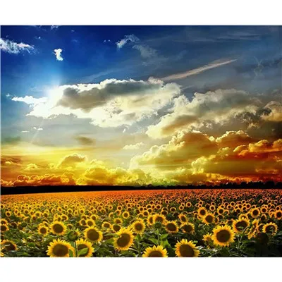 

YIKEE diy Diamond Embroidery Flowers Full Drill Diamond Embroidery Sale Mosaic Crystal h1862