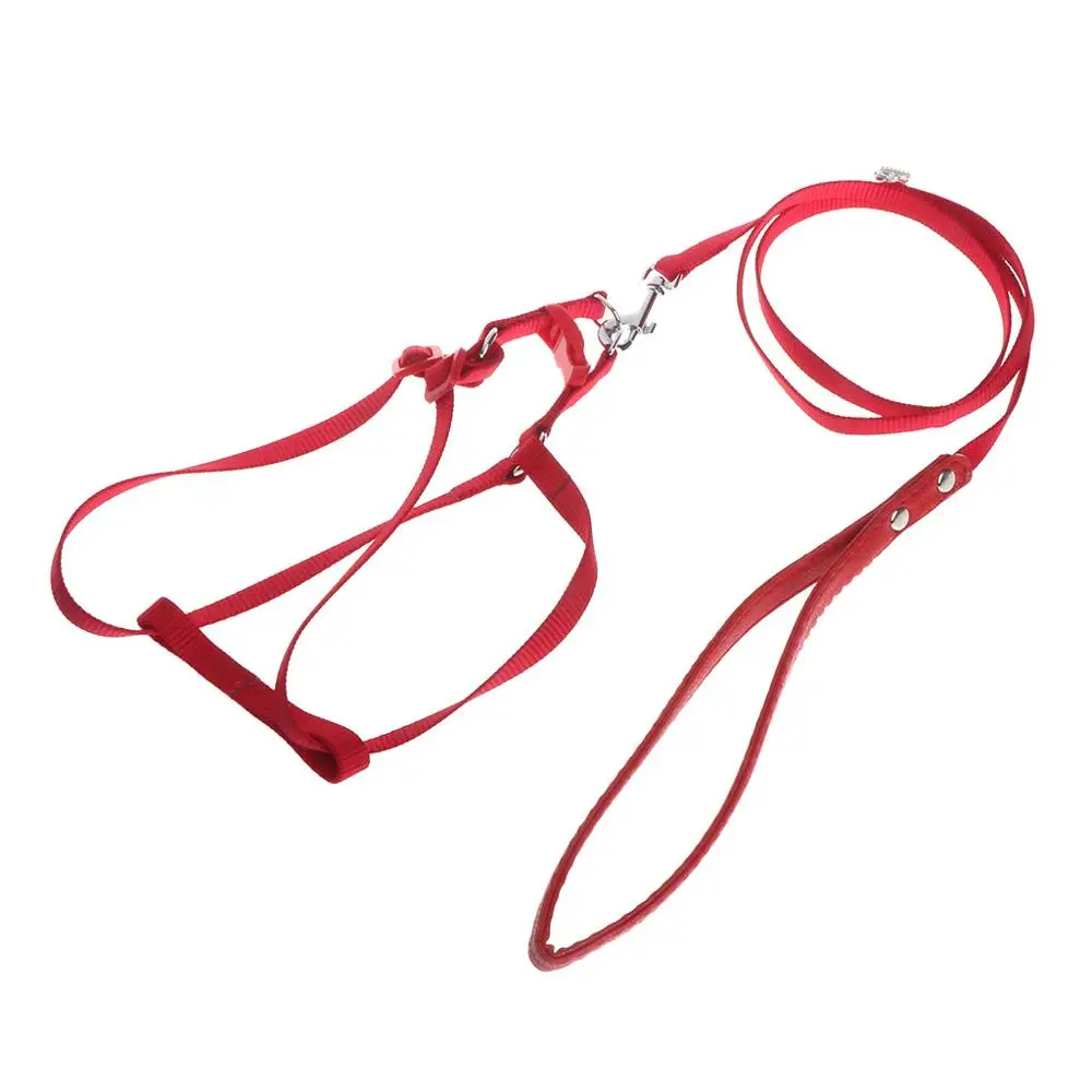 Red Let's Pet Поводок для попугая домашних животных жгут Открытый регулируемый анти укуса тренировочный канат Летающая лента - Цвет: Red