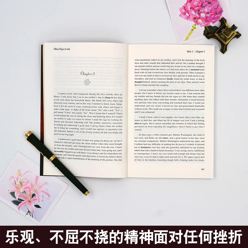 Новое поступление, три дня, чтобы увидеть: книга на английском для взрослых студентов, детей, подарок, всемирно известная книга, английский