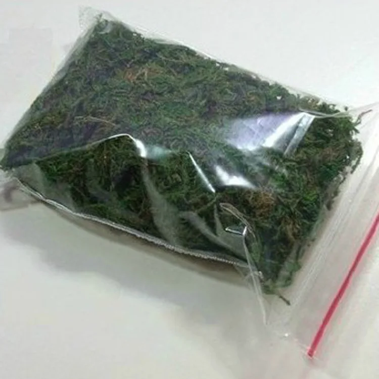 2Packs Moss (Sold in per package of 5g) For DIY jewelry making glass globe necklace Fairy Dust Bottles | Украшения и аксессуары