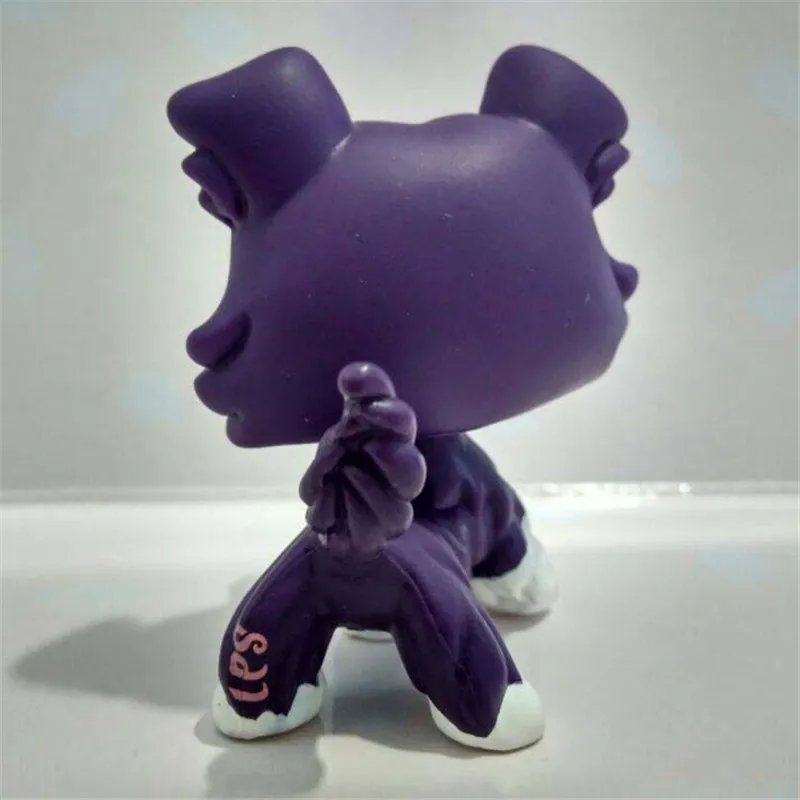 Магазин домашних животных Lps игрушки кошка стоящая редкая маленькая собака колли