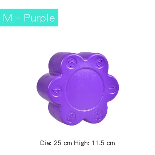 05purple M Ruizhi детский баланс луч детский сад Сенсорное тренировочное оборудование Фитнес Спорт на открытом воздухе сливы ворс детские игрушки RZ1070 - Цвет: 05purple M