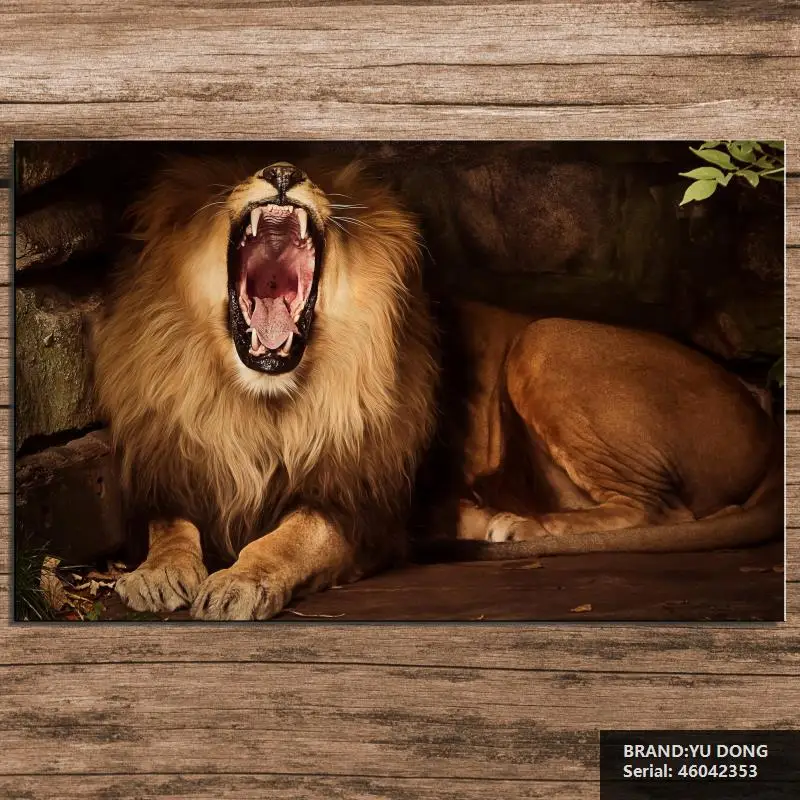 Лев Животных Современная Живопись маслом Рисование искусство Спрей Без Рамы