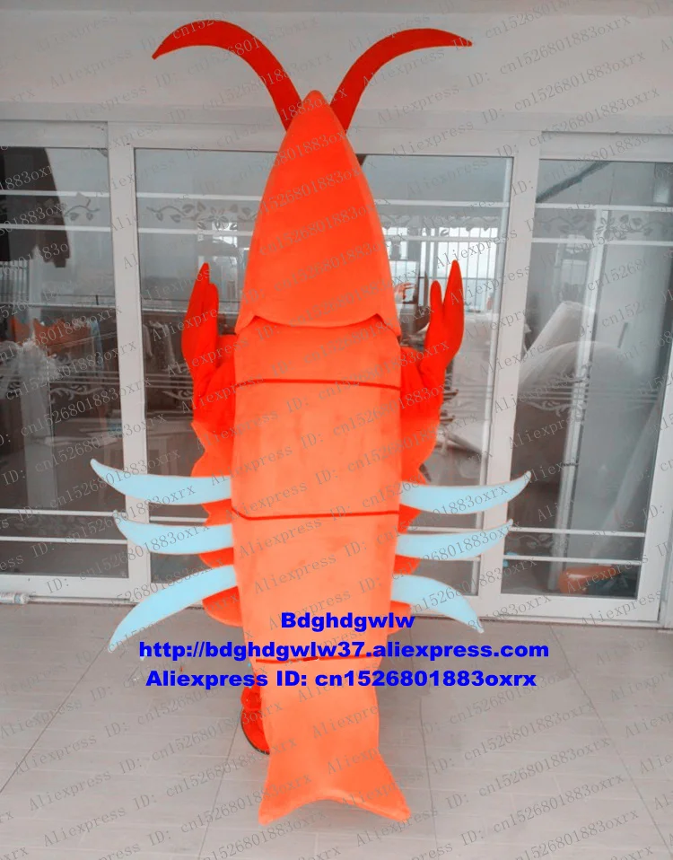 Оранжевые красные креветки Лобстер раки васель вестрид Шмель бомбус талисман