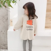baby cartoon carrot 2019 spring sweatershirts full sleeve casual girl child clothes knitted pollover sweater lz136
