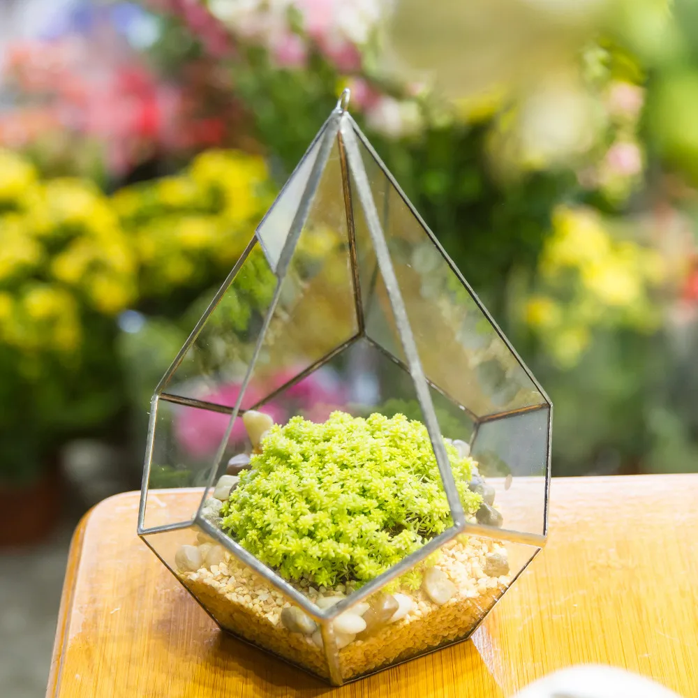 

Modern Polyhedron Diamond Teardrop Shape Geometric Wall Mount Hanging Glass Planter Plant Succulent Flower Pot Glass Terrarium