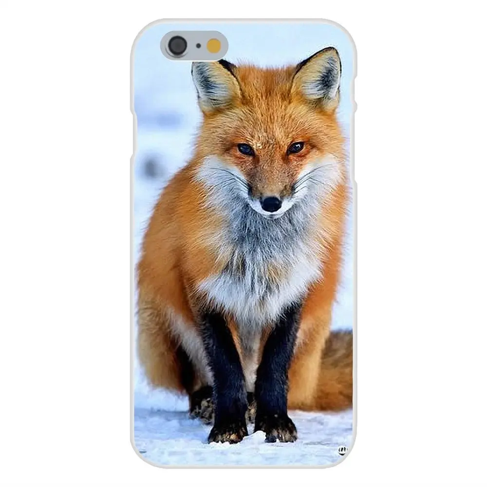 Мягкие защитные чехлы из ТПУ для Apple iPhone X XS Max XR 4 4S 5 5C 5S SE 6 6S 7 8 Plus Animal Fox | Мобильные