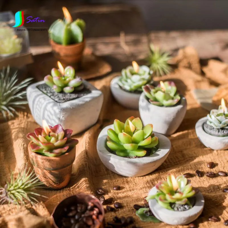 Много стилей милых зеленых визуальных суккулентов декоративные украшения серии