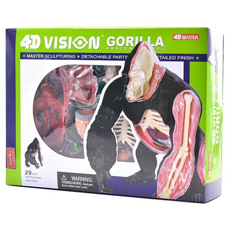 

4D Silver back apes Intelligence Assembling Toy Animal Organ Anatomy Model Medical Teaching DIY Popular Science Appliances