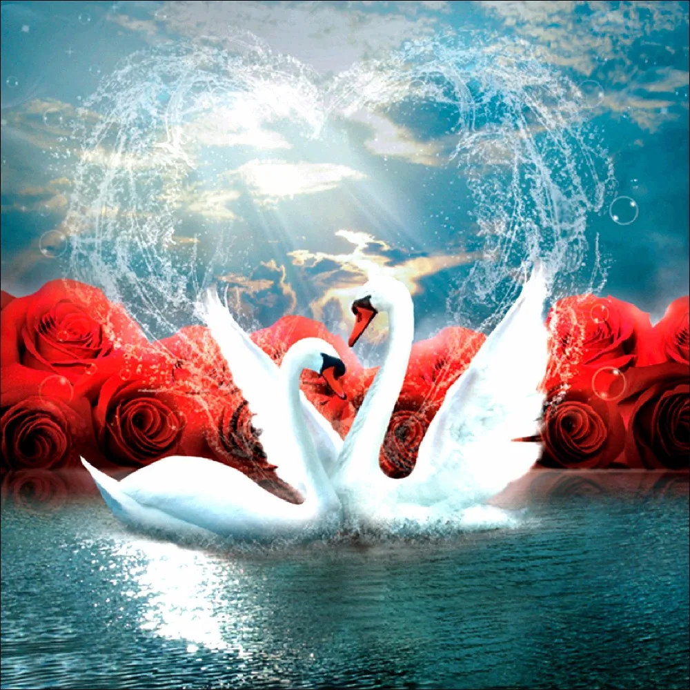 Swan and rose 5d diy diamond painting embroidery picture by digital oil sale decorative T6341 | Дом и сад