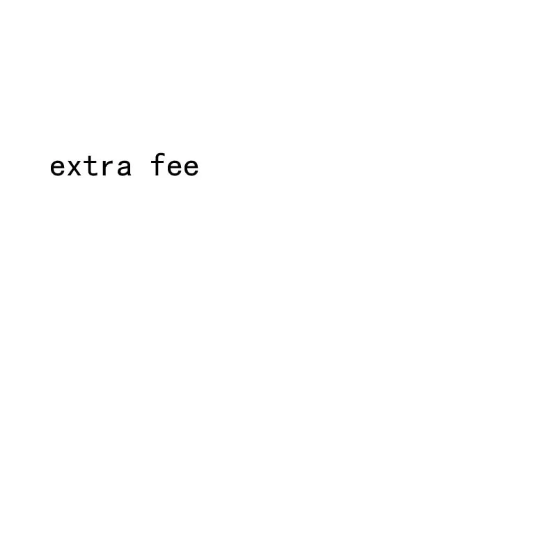 

payment link
