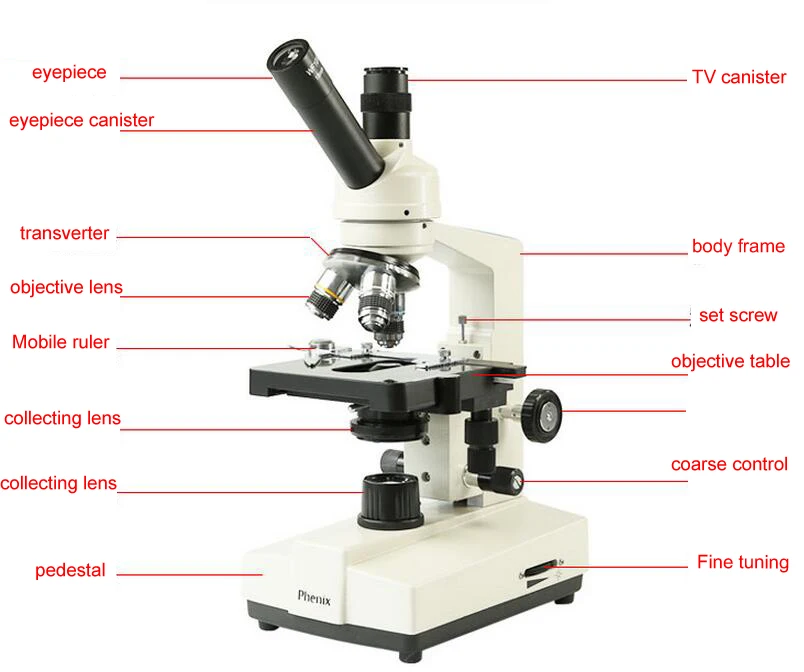 Монокулярный Биологический микроскоп 110 В переменного тока 1600 крат Для карантина