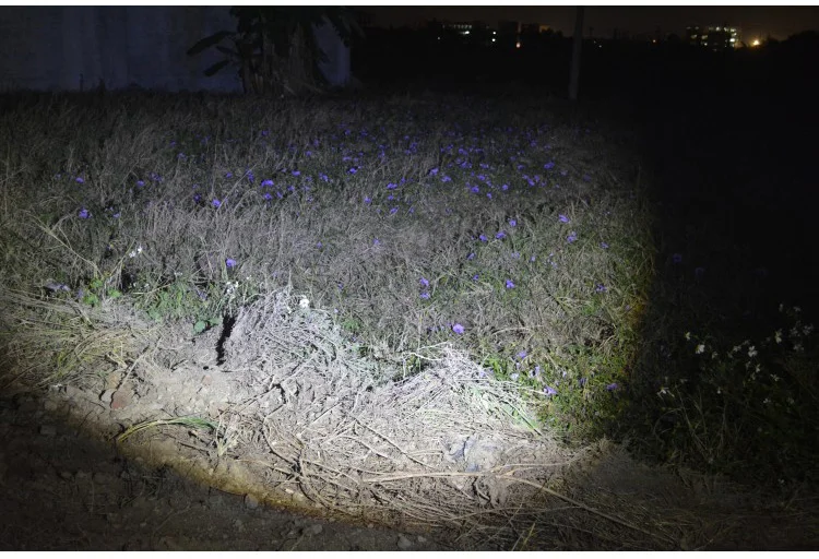 Перезаряжаемый 10 Вт T6 светодиодный налобный фонарь для кемпинга, рыбалки, светильник на голову, Электрический флэш-светильник, водонепроницаемый налобный поисковый светильник