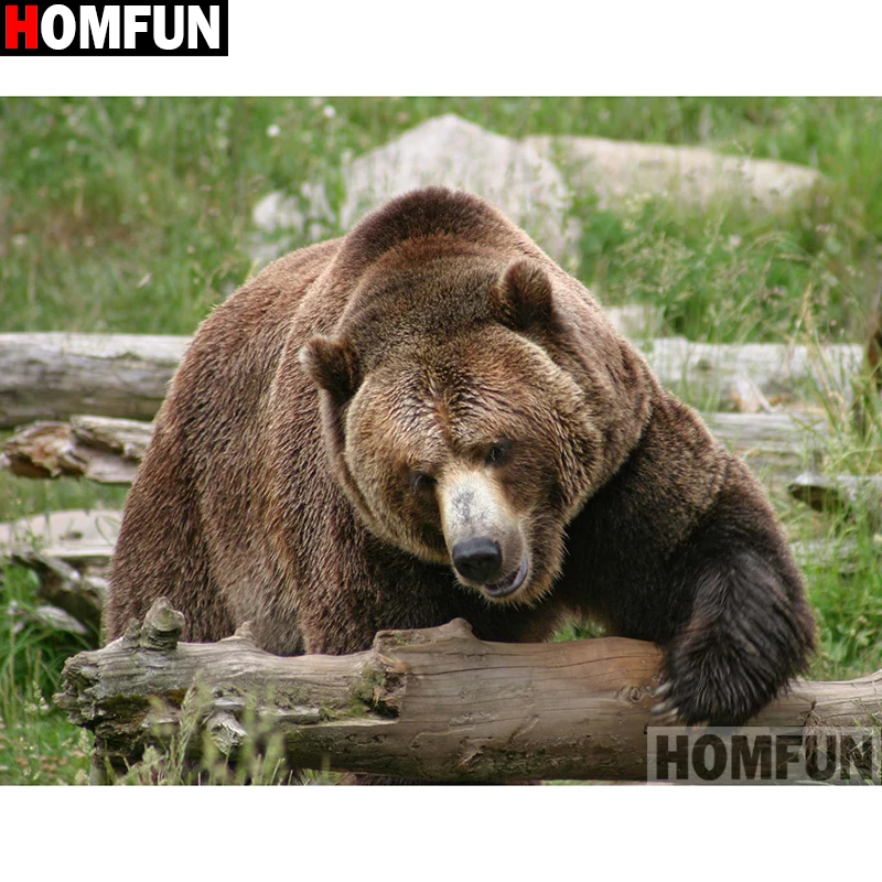 Алмазная 5D Вышивка HOMFUN Медведь картина сделай сам с полными квадратными/круглыми