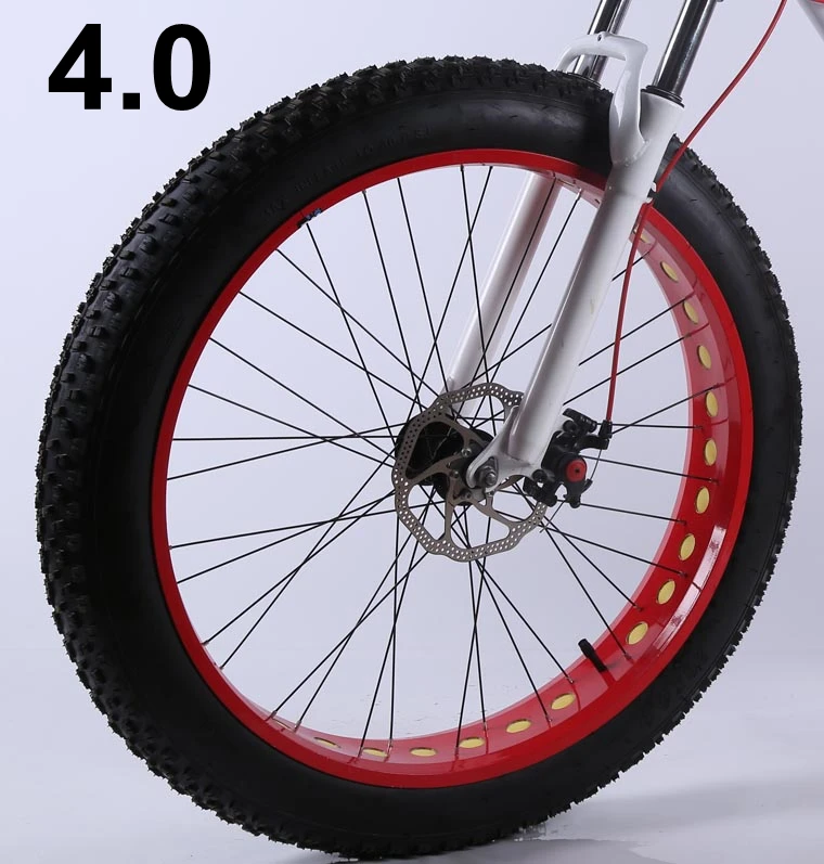 4.0 Size A RDYE26 26 дюймов колесо для велосипеда на толстых покрышках с внутренними и внешними шинами, без передней вилки - Цвет: 4.0 Size A RDYE26